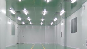 十萬級(jí)食品潔凈廠房裝修中的密封膠選擇與應(yīng)用