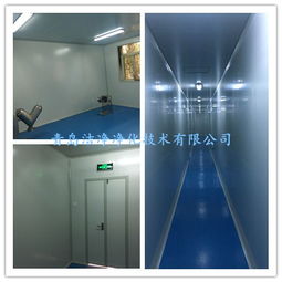 環(huán)境凈化工程 核心要素、廠家選擇與報價指南