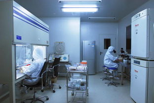 凈化車間潔凈報價全解析 廠家選擇與凈化工程要點